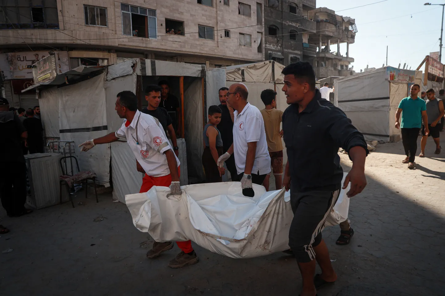 UN flags major public health risks in Gaza as infestations surge