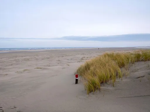 300 jaar oud Nederlandse scheepswrak ontdekt op het strand van Norderney