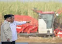 Pemerintah perketat impor gula rafinasi demi lindungi petani lokal dan kejar swasembada