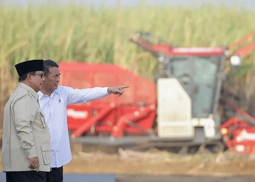 Pemerintah perketat impor gula rafinasi demi lindungi petani lokal dan kejar swasembada