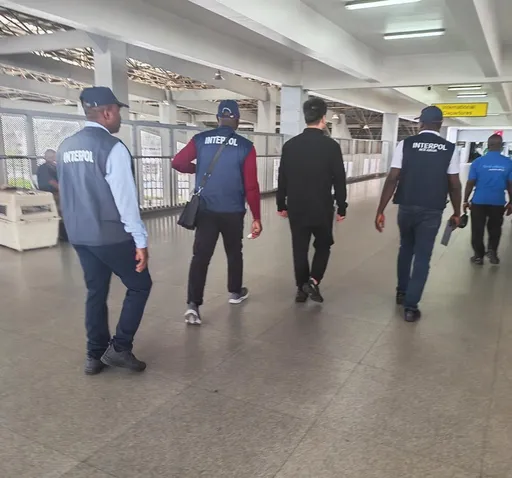 'Yansandan InterPol sun tasa ƙeyar ɗan China daga Nijeriya kan safarar namun daji