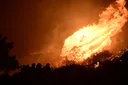 Wildfires force evacuations in Greece as blazes burn near Athens