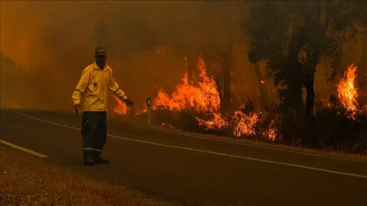 Morocco places provinces on highest alert as wildfire spreads