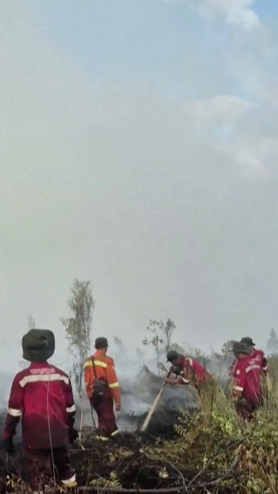 Karhutla lahan gambut di Kalimantan Tengah meluas akibat kemarau panjang