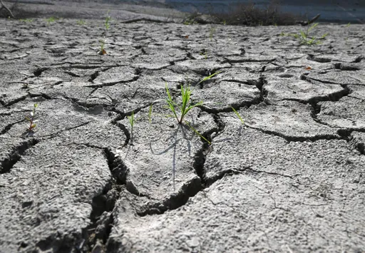 South Korea deploys military vehicles, water tankers as drought grips southeast