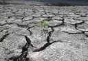 South Korea deploys military vehicles, water tankers as drought grips southeast