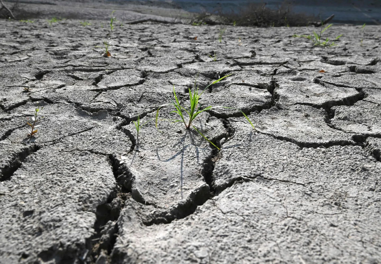 South Korea deploys military vehicles, water tankers as drought grips southeast