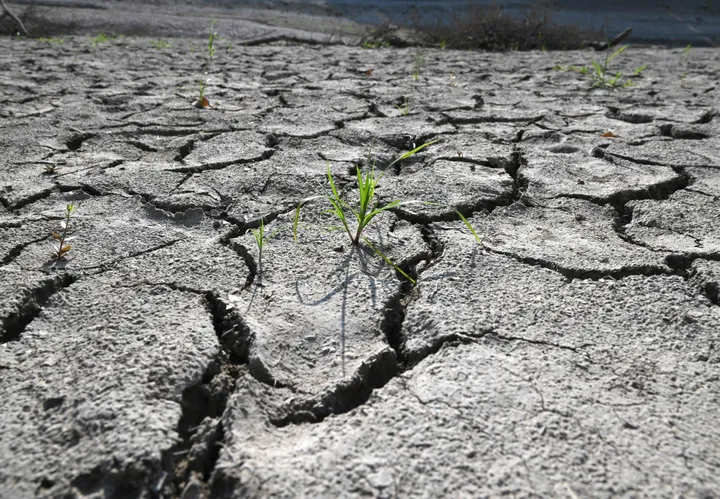 South Korea deploys military vehicles, water tankers as drought grips southeast