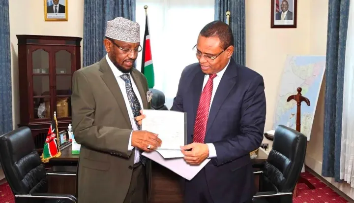 Naibu Waziri Mkuu wa Somalia aukana uraia wa Kenya kufuatia mzozo katika uwanja wa ndege