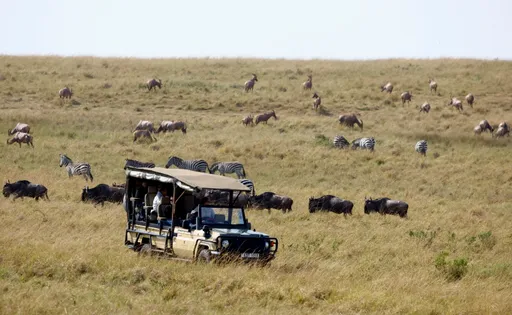 Kenya yazindua bima ya lazima kwa watalii