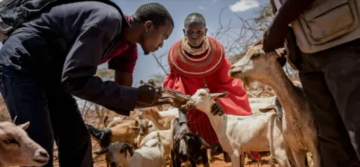 Magonjwa yanapovuka mipaka: Wakulima wa Afrika wavumbua kinga mbadala