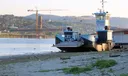 In Bulgaria, numerose navi stanno aspettando sul fiume Danubio a causa del basso livello dell'acqua