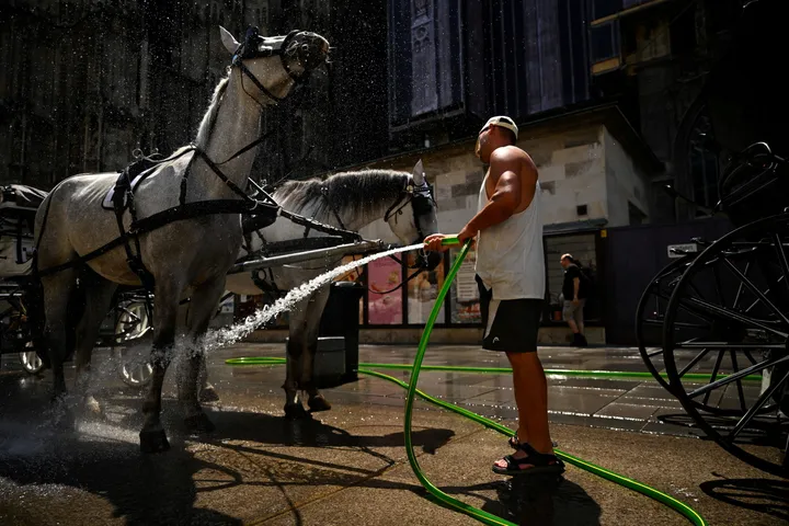 Austria swelters as temperature hits record 41°C