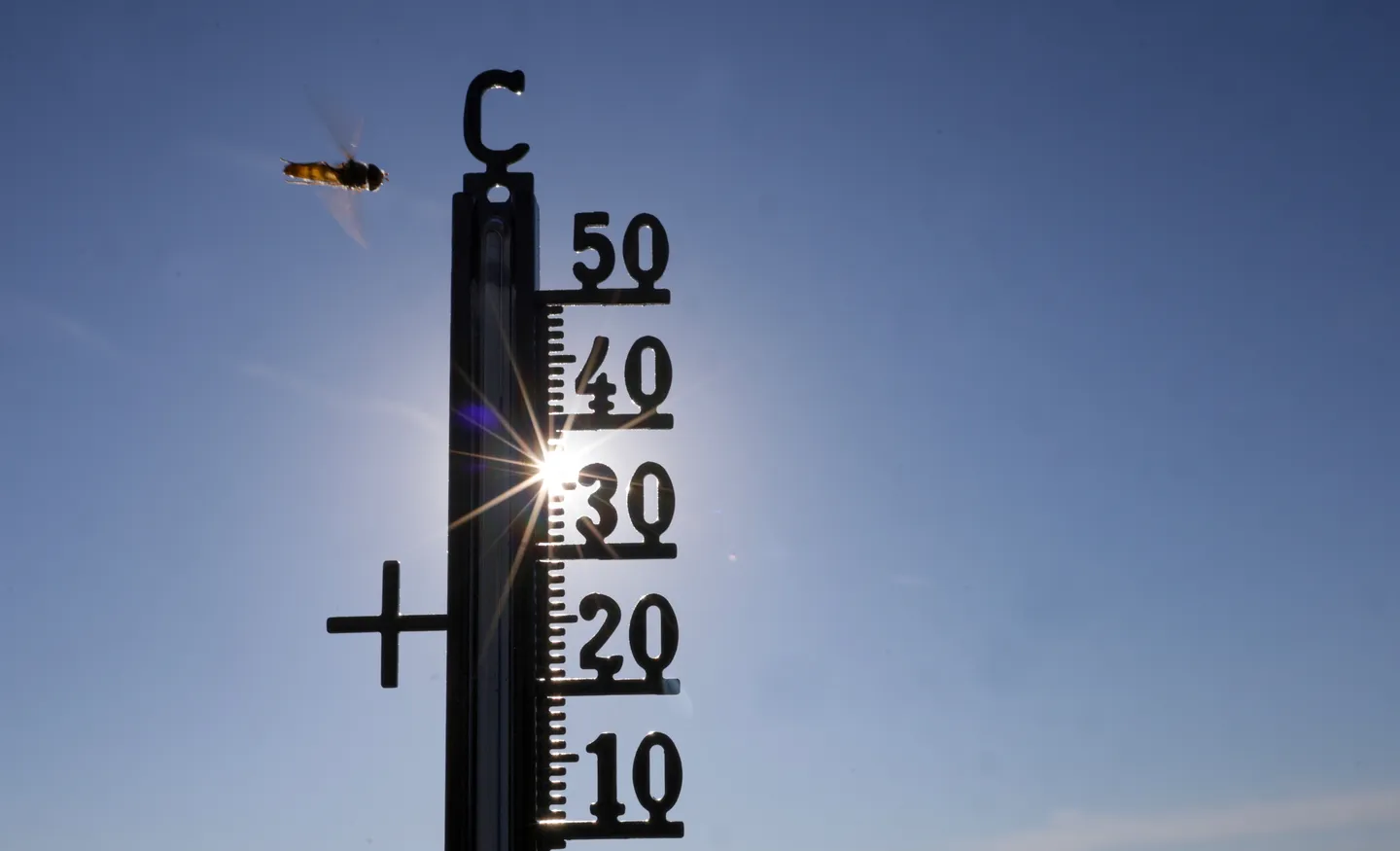 Temperaturrekord für Österreich: 41 Grad