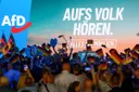 Studie: AfD-Regierungsprogramm finanziell nicht umsetzbar