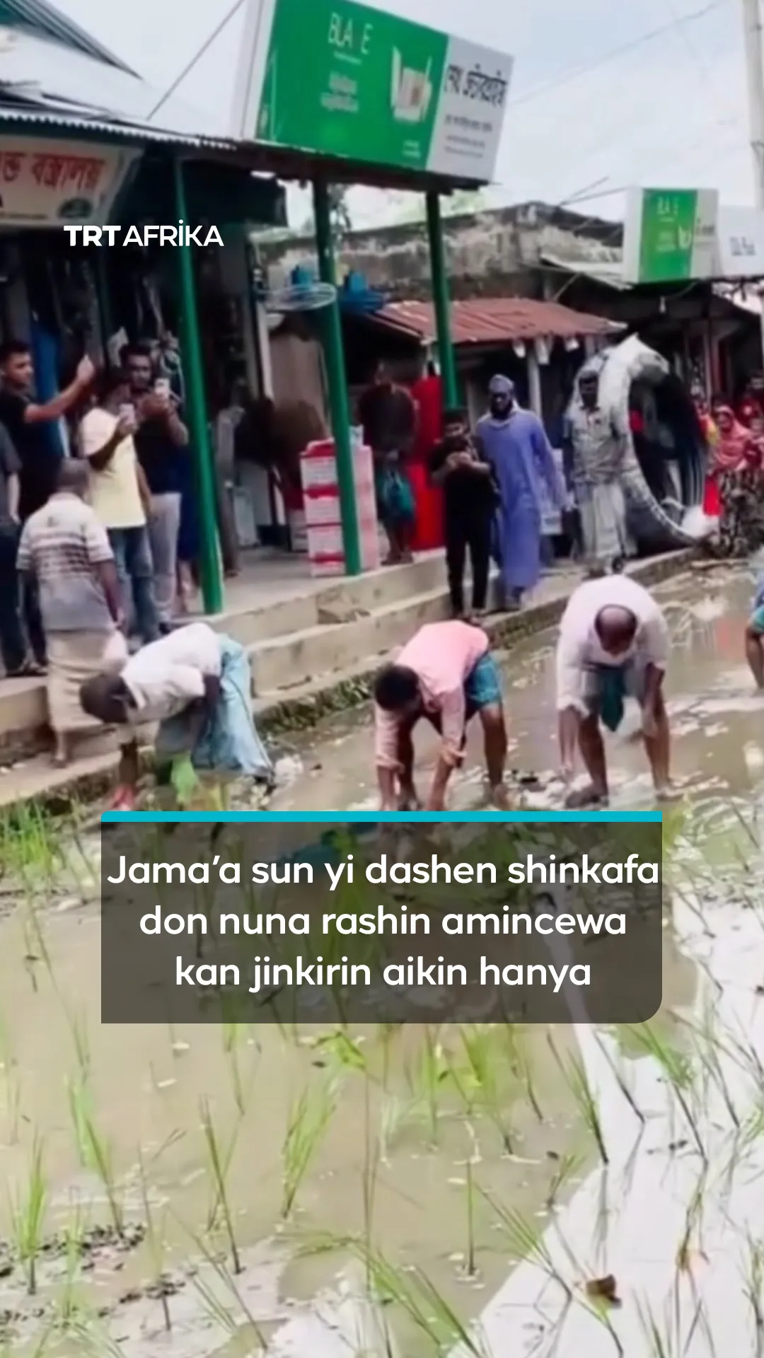 Jama'a sun yi dashen shinkafa don nuna rashin amincewa kan jinkirin aikin hanya