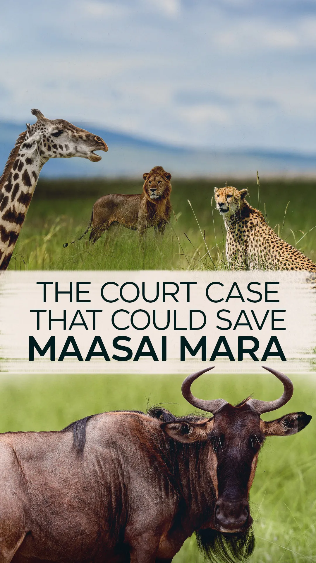 Court case that could save Maasai Mara