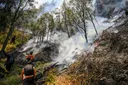Kebakaran Gunung Bromo meluas hingga 120 hektare, angin kencang picu titik api baru