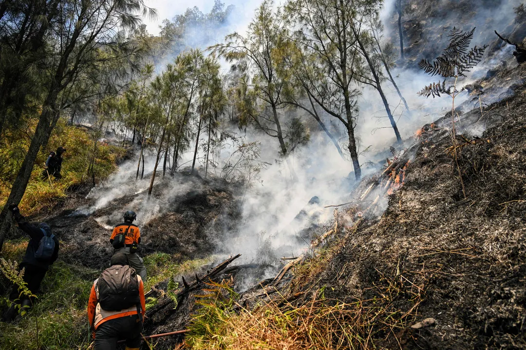 Kebakaran Gunung Bromo meluas hingga 120 hektare, angin kencang picu titik api baru
