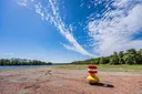 Niedrigwasser am Rhein: IW-Ökonom hält Lage für „dramatisch“