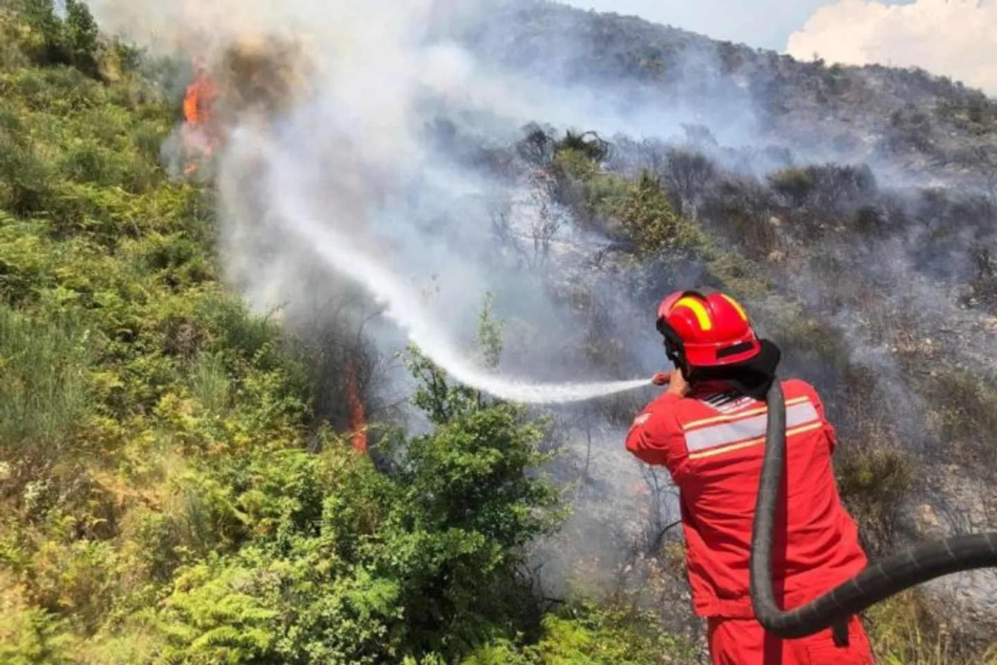 Shqipëri: Tetë vatra zjarri ende aktive