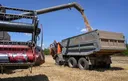 Black Sea strikes by Russia, Ukraine disrupt global grain shipments