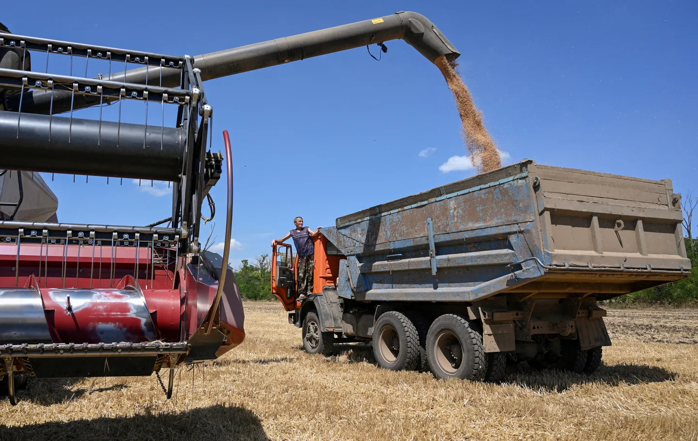 Black Sea strikes by Russia, Ukraine disrupt global grain shipments