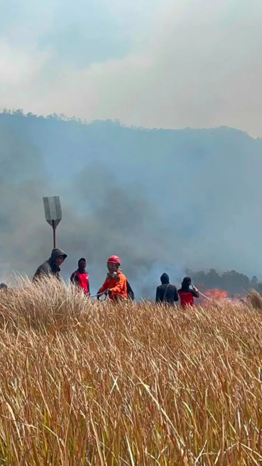 Kebakaran hanguskan sedikitnya 148 hektare di Taman Nasional Bromo