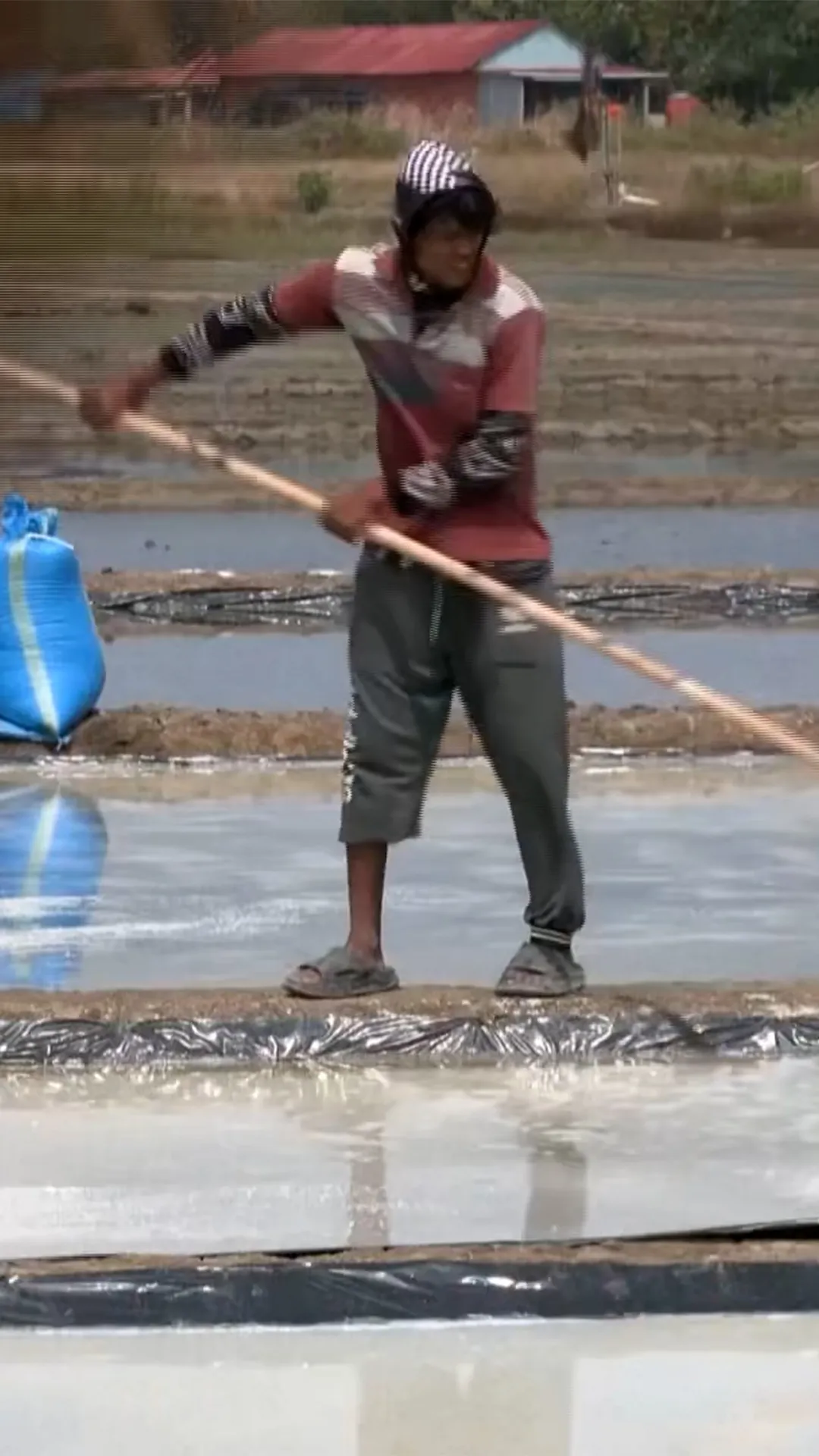 Dampak El Nino, produksi garam Cirebon melonjak hingga 600 ton di tengah kemarau