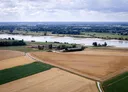 Huidige regenval onvoldoende om droogte te verlichten: ‘We hebben meer dagen met motregen nodig’