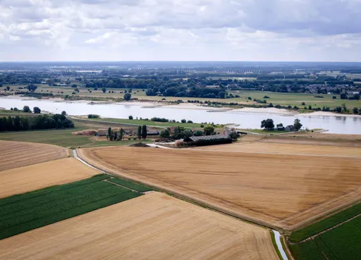 Huidige regenval onvoldoende om droogte te verlichten: ‘We hebben meer dagen met motregen nodig’