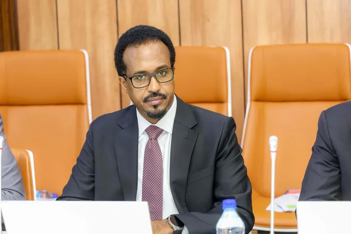 Somalia approves landmark ‘Made in Somalia’ bill