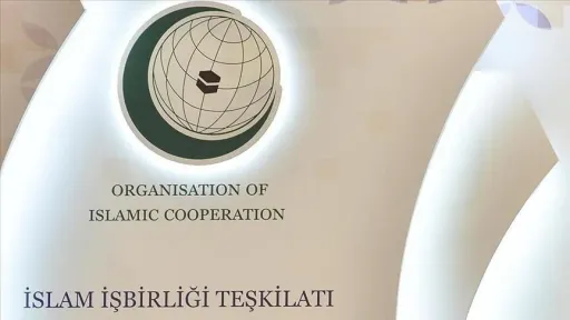 OIC welcomes Türkiye, Saudi Arabia, Pakistan 'historic' defence agreement
