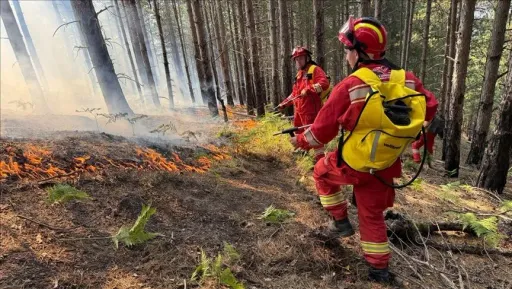 Shqipëri, 45 vatra zjarri të raportuara në 24 orët e fundit