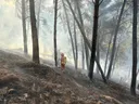 Situata me zjarret në Shqipëri, pesë vatra vijojnë aktive