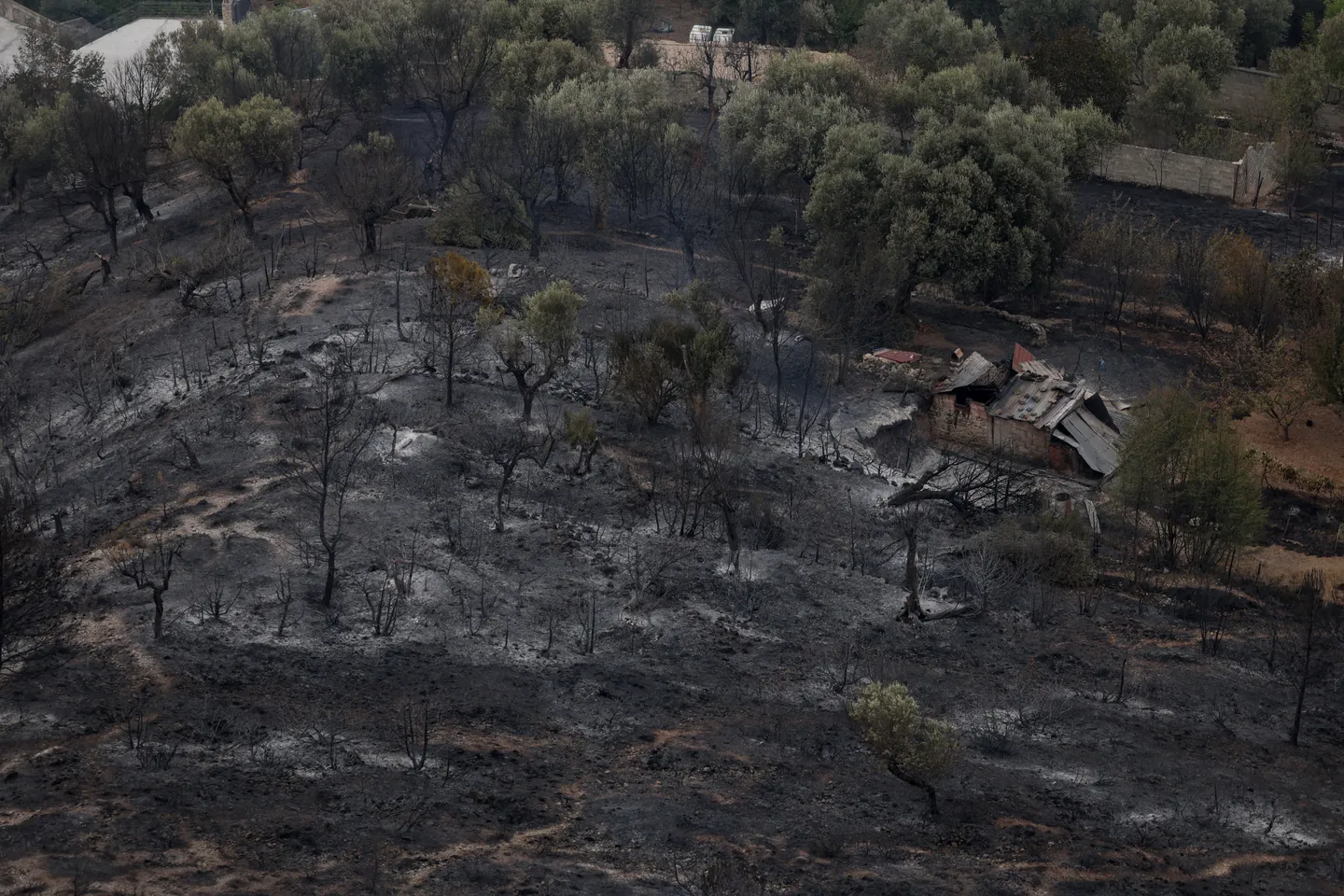Albanija: U posljednja 24 sata prijavljeno 25 požara, pet i dalje aktivno