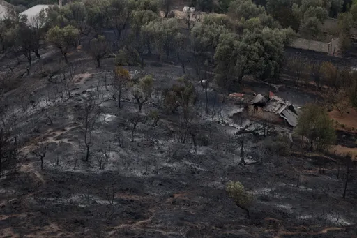 Albanija: U posljednja 24 sata prijavljeno 25 požara, pet i dalje aktivno