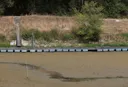 Рекордное обмеление Дуная привело к остановке единственной АЭС Румынии
