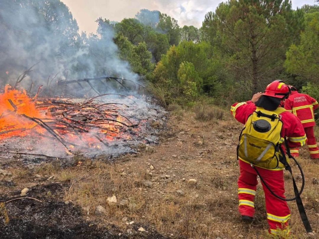 Tetë vatra zjarri aktive në Shqipëri  vijojnë operacionet