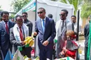 Somalia imports 75% of its food at over $2 billion as PM urges self-reliance