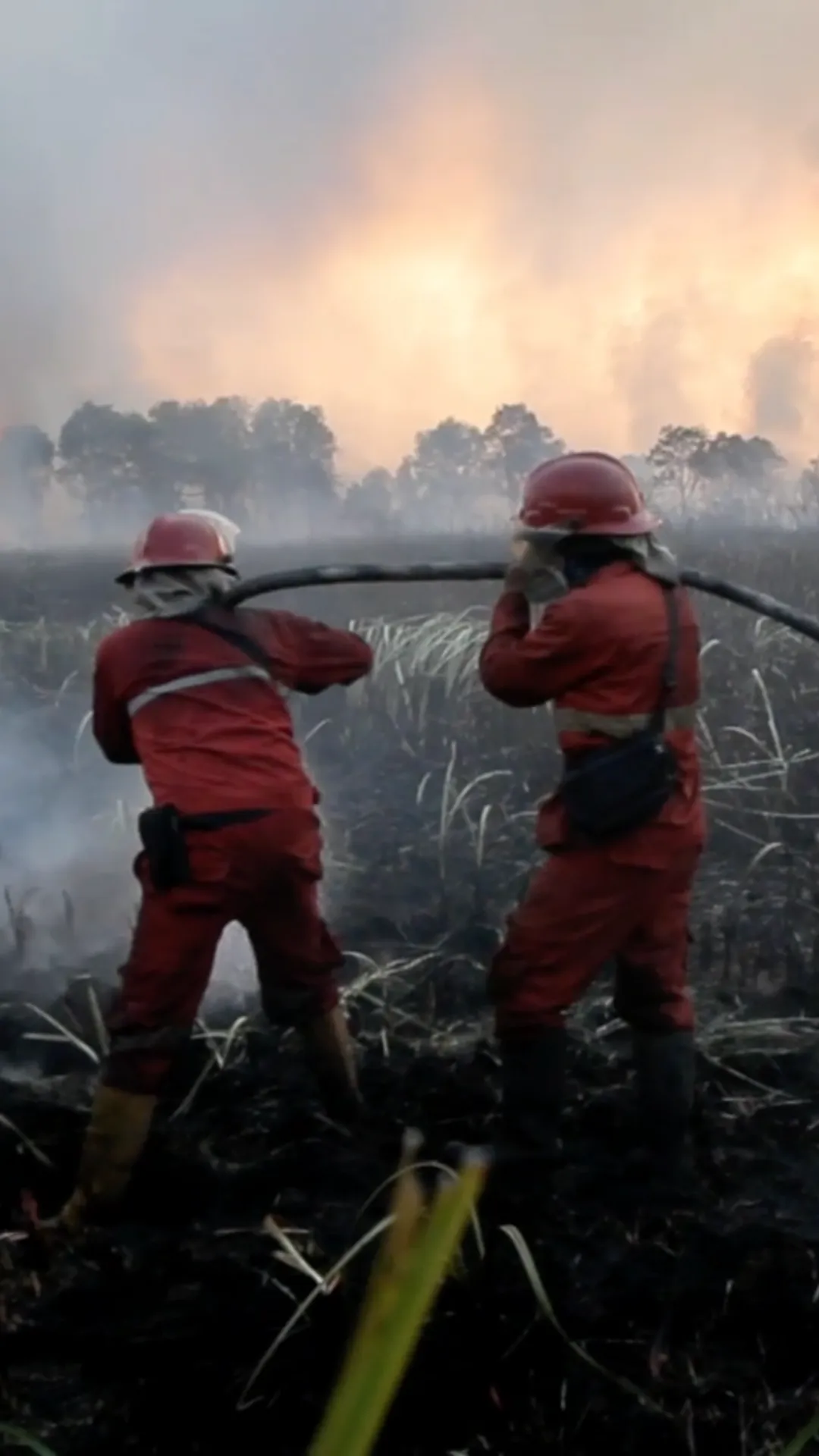 Karhutla meluas di Sumatera Selatan, petugas berupaya padamkan api