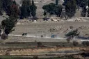 Israeli army opens fire on civilian areas in Syria's Daraa: state media