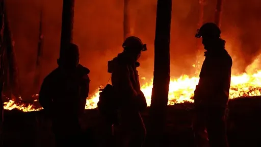 15-годишник обвинет за пожар во кој загинаа двајца пожарникари во Франција