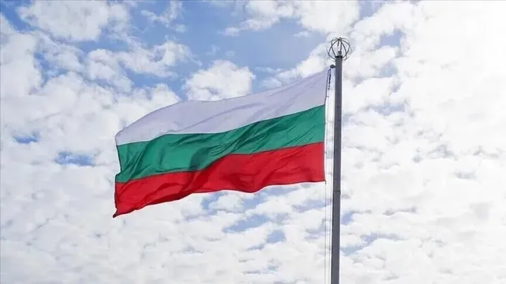 Bullgaria gati të propozojë ndryshime legjislative për të adresuar dhunën tek të rinjtë