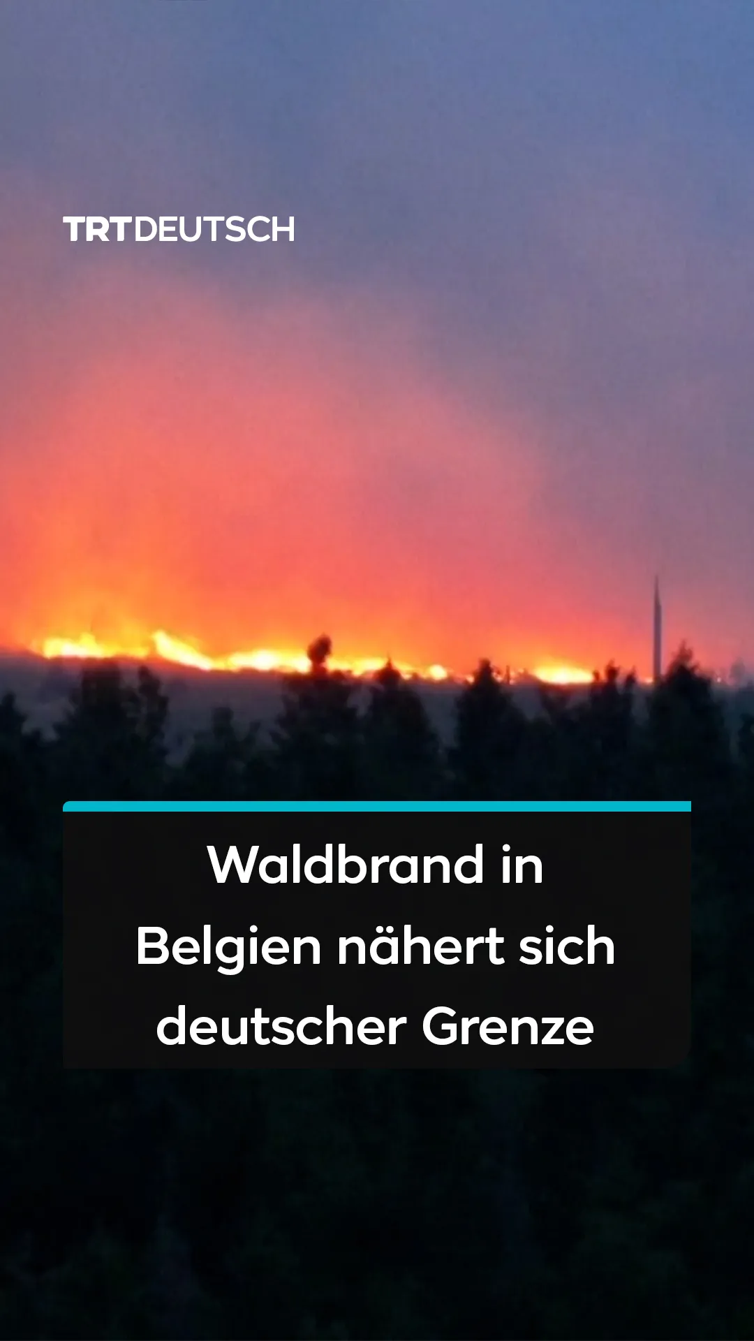 Waldbrand in Belgien nähert sich deutscher Grenze