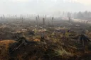 Wildfire burns area size of 3,780 football fields in eastern Belgium as hundreds evacuated
