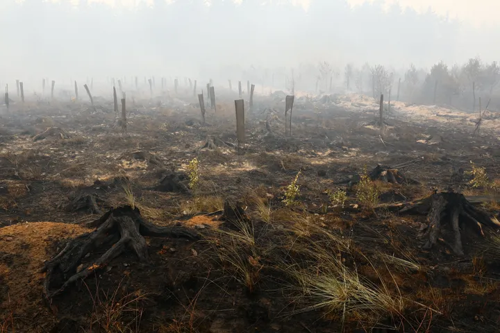 Wildfire burns area size of 3,780 football fields in eastern Belgium as hundreds evacuated