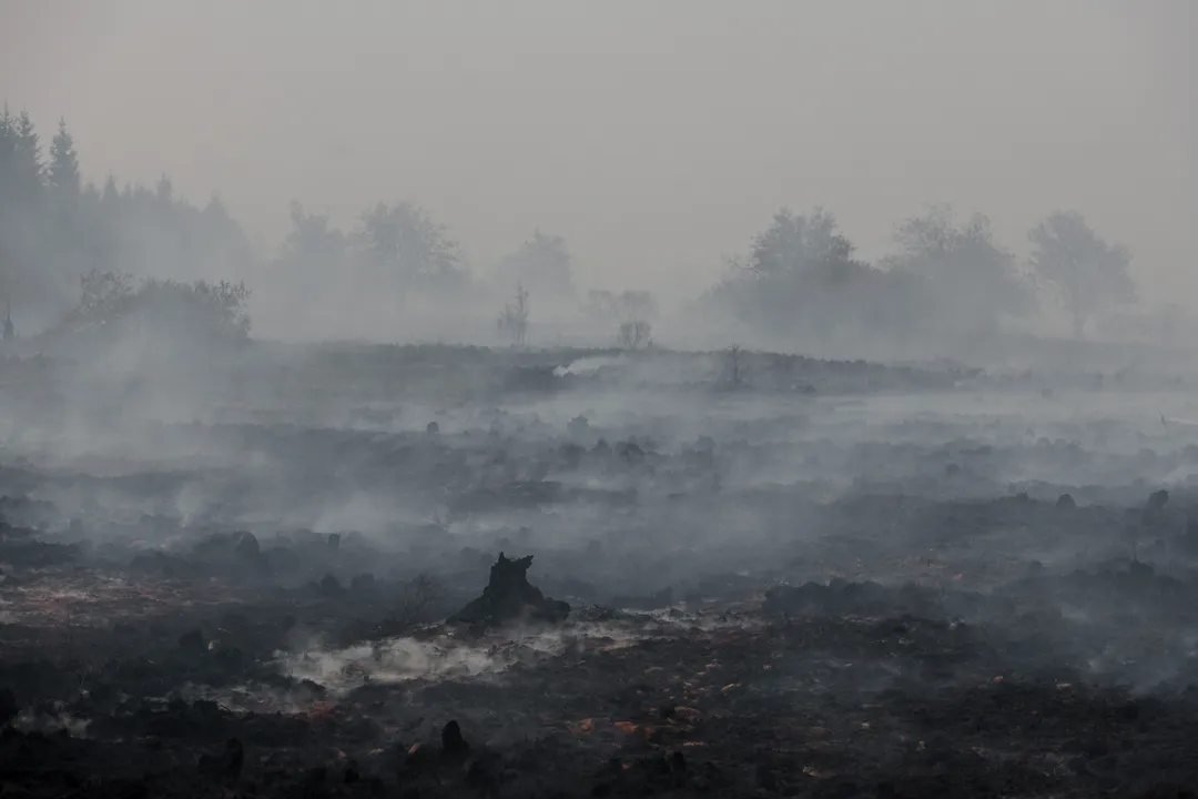 Incendies en Europe: une ville allemande partiellement évacuée