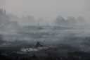 Incendies en Europe: une ville allemande partiellement évacuée