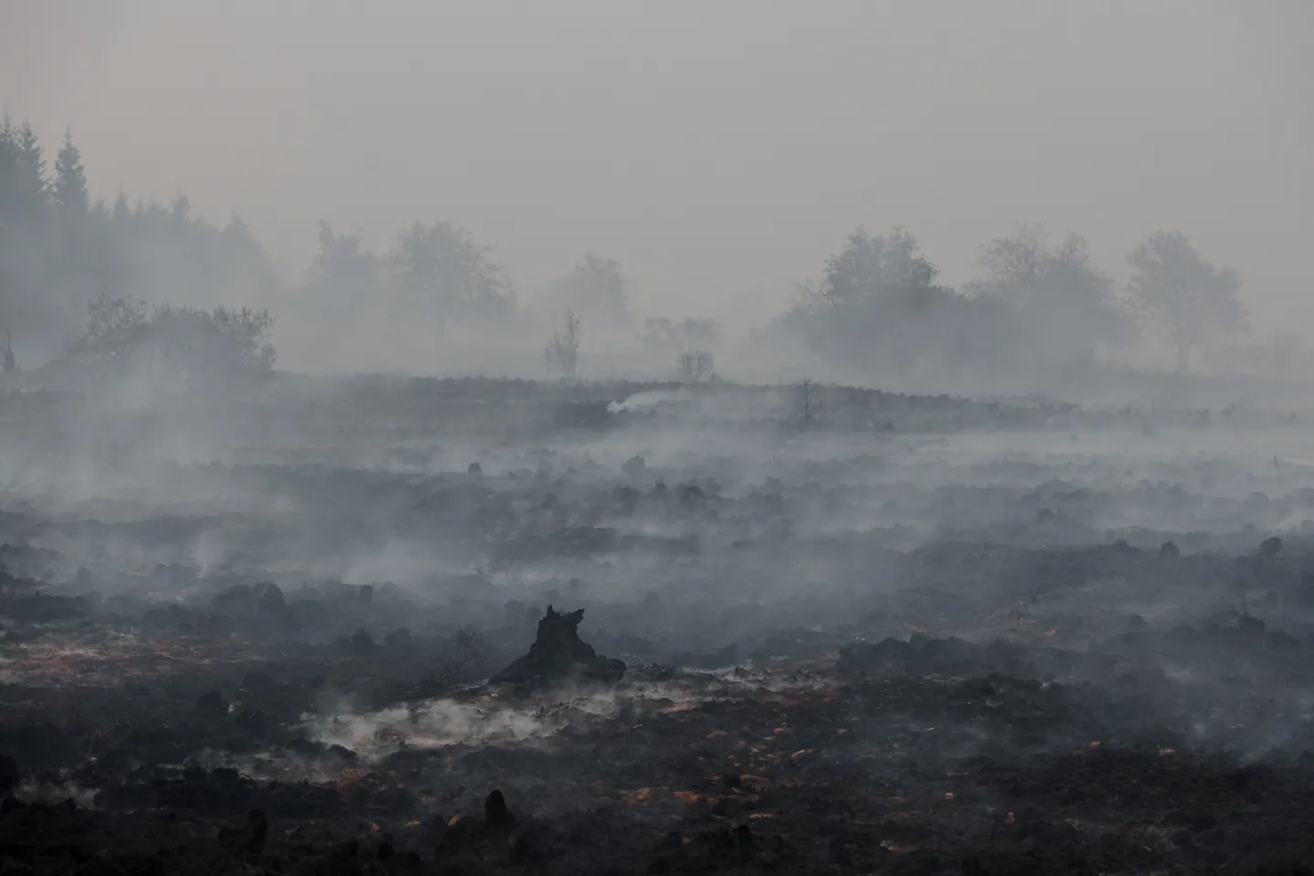 Incendies en Europe: une ville allemande partiellement évacuée